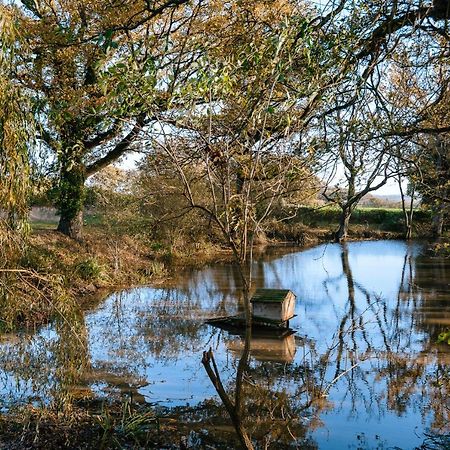 Charming Picturesque Cottage - Nr Tenterden & Rye, Pets Welcomed Rolvenden Buitenkant foto
