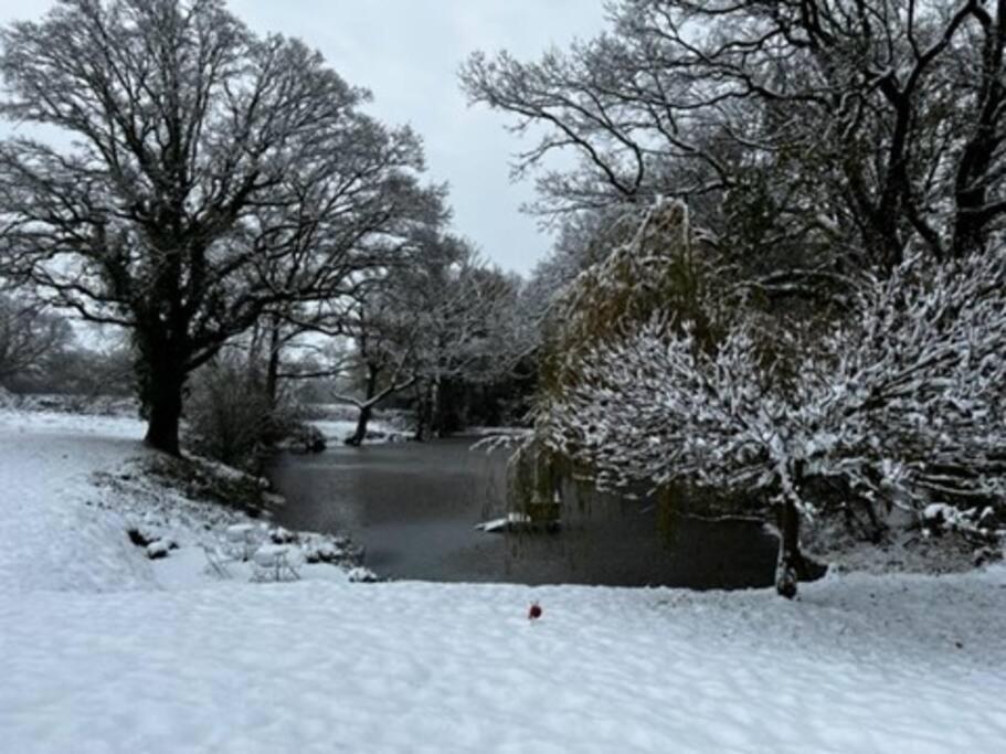 Charming Picturesque Cottage - Nr Tenterden & Rye, Pets Welcomed Rolvenden Buitenkant foto