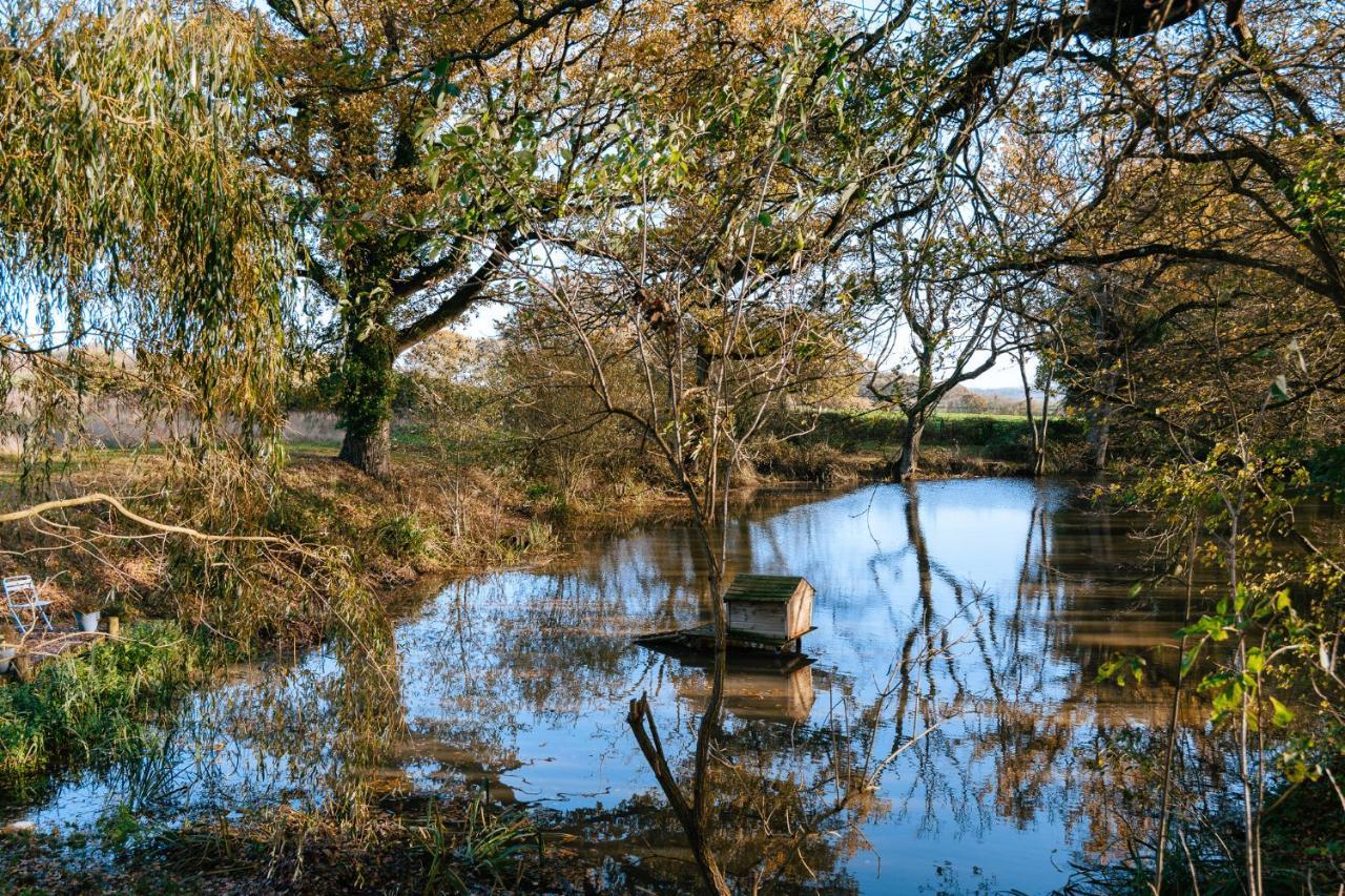 Charming Picturesque Cottage - Nr Tenterden & Rye, Pets Welcomed Rolvenden Buitenkant foto